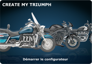 widget_creatmytriumph widget_creatmytriumph